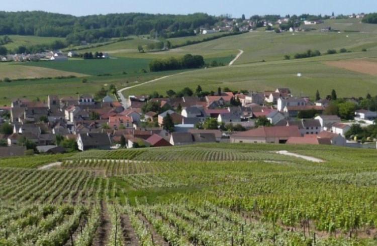Appartement La Longere De Vin'Ay à Vinay  Extérieur photo